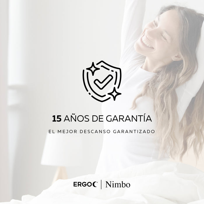 ERGO Nimbo King
