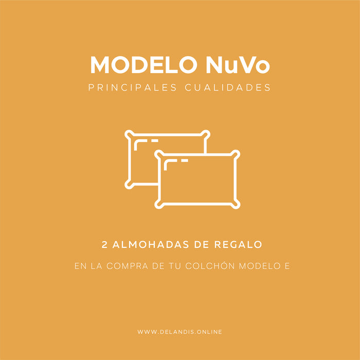 Modelo NuVo+ King