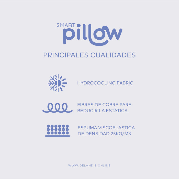 Smart Pillow
