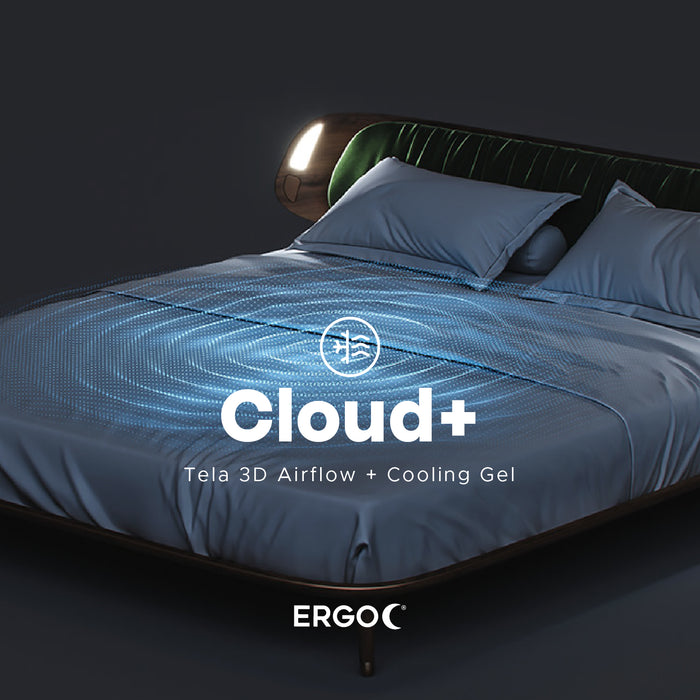 ERGO Cloud+ Imperial