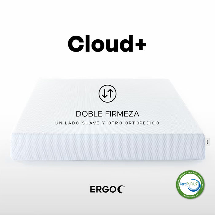 ERGO Cloud+ King
