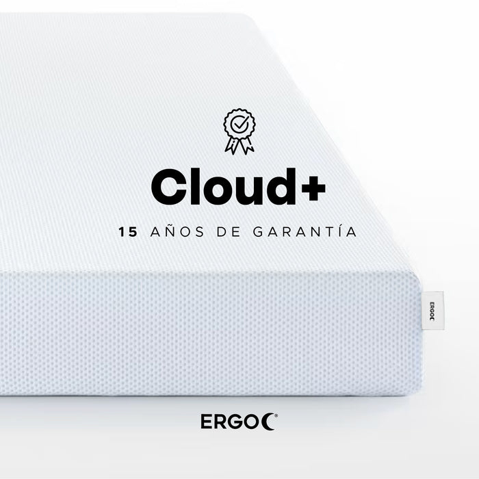 ERGO Cloud+ Queen — DeLandis Germany