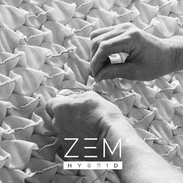 ZEM Hybrid +