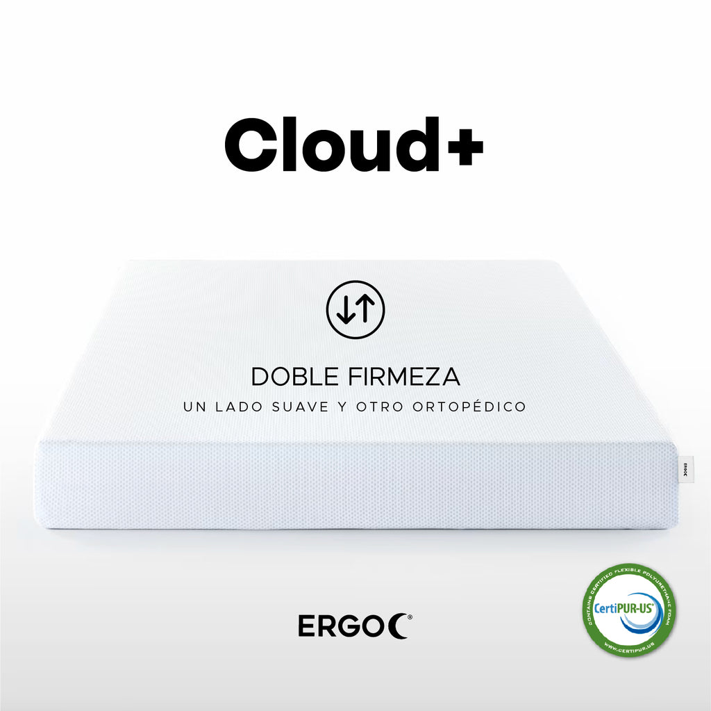 ERGO Cloud+