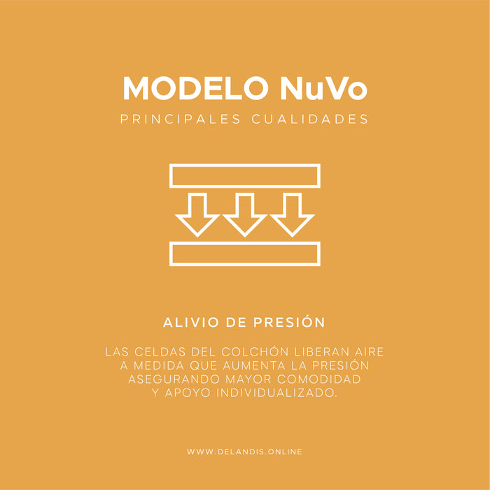 Modelo NuVo+ King